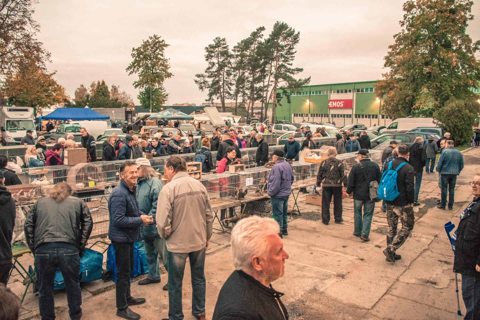 Setkání chovatelů Přerov - Burza
 na výstavišti v Přerově 
