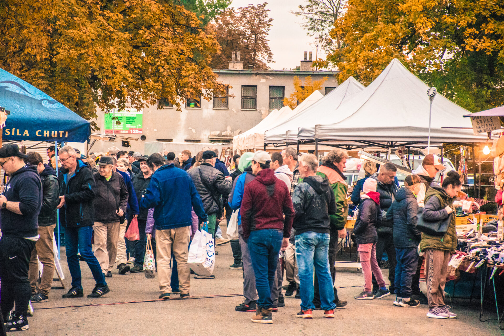 Setkání chovatelů Přerov - Burza
 na výstavišti v Přerově 
