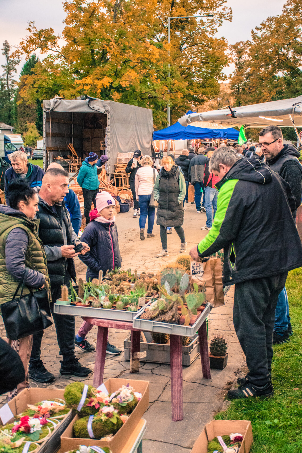 Setkání chovatelů Přerov - Burza
 na výstavišti v Přerově 
