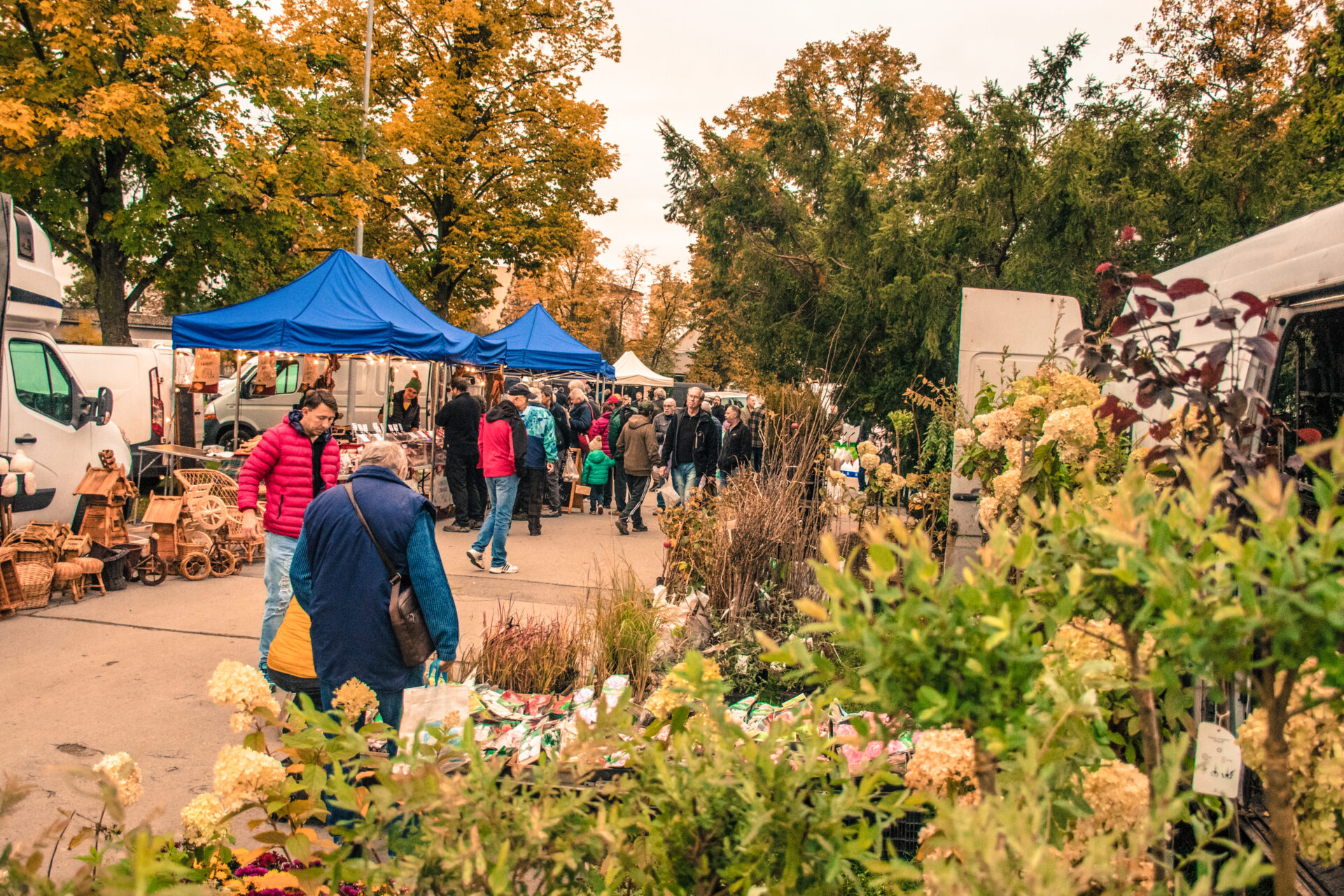 Setkání chovatelů Přerov - Burza
 na výstavišti v Přerově 
