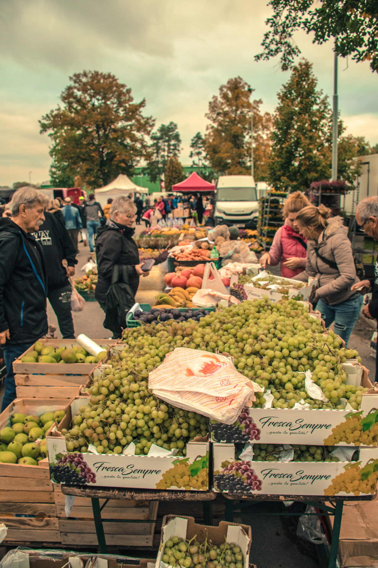 Setkání chovatelů Přerov - Burza
 na výstavišti v Přerově 

