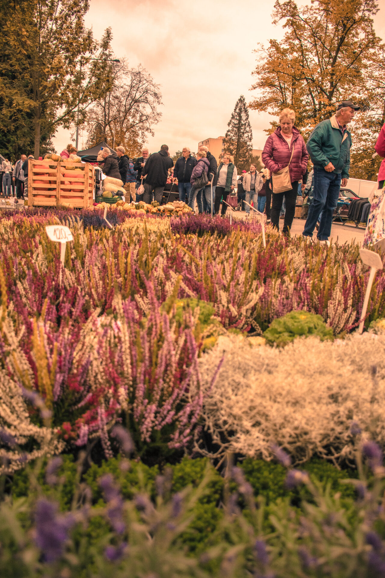 Setkání chovatelů Přerov - Burza
 na výstavišti v Přerově 
